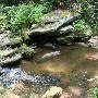 Twin Falls (aka Reedy Cove Falls)