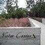 Charles Towne Landing - Visitor Center