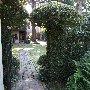 Gardens of Charleston - Battery Carriage House Inn - November 2010