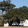 Hampton Plantation State Park