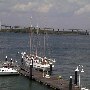 Charleston - General Overview