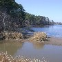 Lake Watertree - State Park Recreation Area