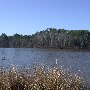 Chester State Park