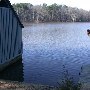 Chester State Park