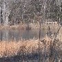 Chester State Park