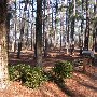 Chester State Park