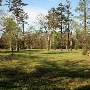 Chester Park