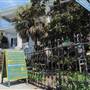 Green Fish Gallery