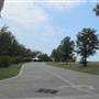 Hagerty Point - Green Area & Golf Cart - Sullivan's Island