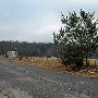 Trailer Homes on Perla Rd.