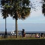 Charleston - General Overview