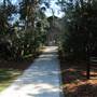 Magnolia Plantation & Gardens - Conservatory (MAY & FEBRUARY 2012)