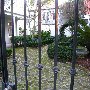 Gardens of Charleston - 31 Wentworth