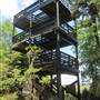 Magnolia Plantation & Gardens MAY - Wildlife Tower