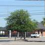 Myrtle Beach-Train Depot