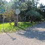 Shady Lane