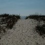 Seabrook Island Deserted Beach Area