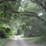 Kiawah River Plantation - Service Road