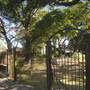 Beth Elohim Cemetery