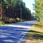 Cainhoy Road to Longwood