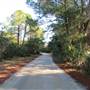 Dewees Island - Roads