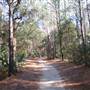 Dewees Island - Overview
