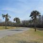 Charleston Region Tropical Paved Roads