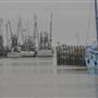 Shem Creek - AM