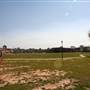 Drew Park