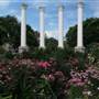 Cannon Park