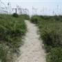 Folly Beach - Path Next to Lighthouse Beach - September