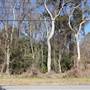 North Charleston - Oak Terrace Preserve