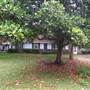 Oak Island Ranch
