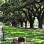 Boone Hall Plantation - Overview (Summer 2014)