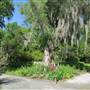 Magnolia Plantation & Gardens MAY LOOKS - Field next to 'Red Bridge Pond"