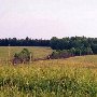 Darby Farms - Pastures