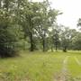 Hobcaw Barony - Trailhead