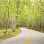 Kings Mountain State Park
