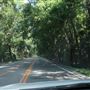Highway 61 -- Near Millbrook Plantation - Summer 2018