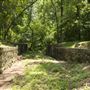 Landsford Canal State Park
