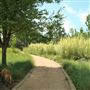 Moore Farms Botanical Gardens  -- Swimming Pond