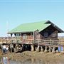 Sullivan's Island - Mithoefer Dock