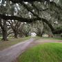 Tomotley Plantation (February 2019)