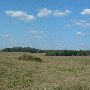 Darby Farms - Pastures