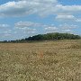 Darby Farms - Pastures