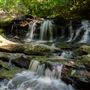 Pleasant Ridge County Park