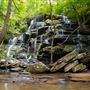 Yellow Branch Falls