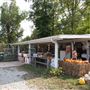 Hwy 25 Produce Stand