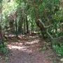Johns Island County Park - 3 Short Trails