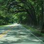 Bears Bluff Road (1)